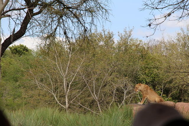 IMG_8514.JPG