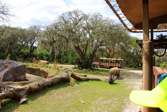 IMG_8529.JPG