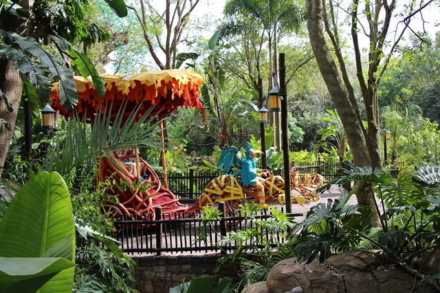 IMG_8856.JPG