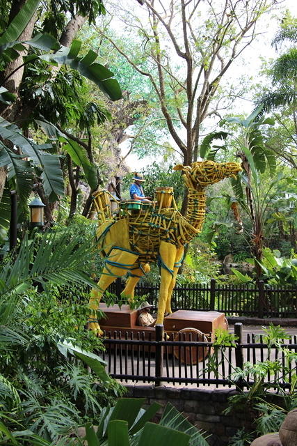 IMG_8884.JPG