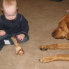 thumbs img 0528
