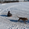 thumbs img 1293