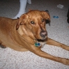thumbs img 1651