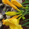 thumbs img 6140