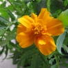 thumbs img 6144