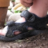 thumbs img 6261
