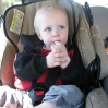 thumbs img 5261