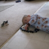 thumbs img 3411