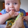 thumbs img 2679