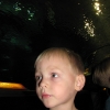 thumbs img 0169