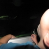 thumbs img 0175