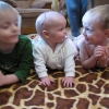 thumbs img 4250