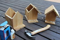 DIY Bird House