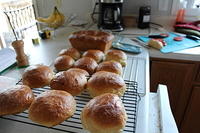 Buns out of the oven