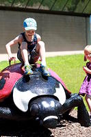 MN Zoo Big Bugs