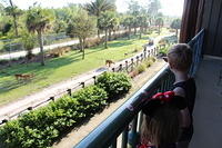IMG_0126.JPG