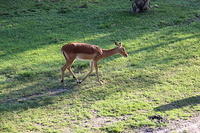 IMG_0128.JPG