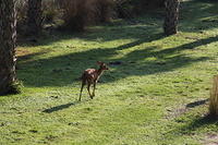 IMG_0139.JPG
