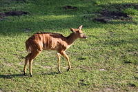 IMG_0140.JPG