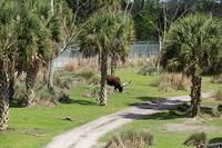 IMG_0748.JPG