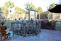 IMG_0772.JPG