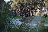 IMG_0794.JPG
