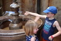 IMG_8229.JPG