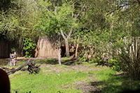 IMG_8343.JPG