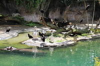 IMG_8370.JPG