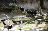 IMG_8372.JPG