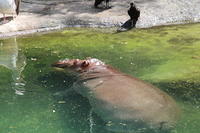 IMG_8374.JPG