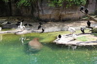IMG_8377.JPG
