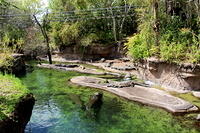 IMG_8379.JPG