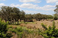 IMG_8391.JPG