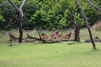 IMG_8412.JPG