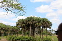 IMG_8439.JPG
