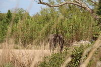 IMG_8465.JPG