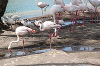 IMG_8483.JPG