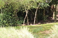 IMG_8488.JPG