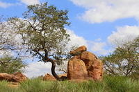 IMG_8500.JPG