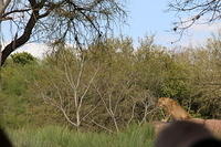IMG_8514.JPG