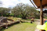 IMG_8529.JPG