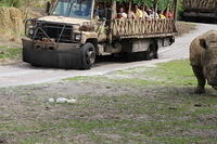 IMG_8539.JPG