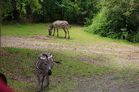 IMG_8552.JPG