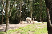 IMG_8564.JPG