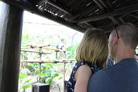 IMG_8585.JPG