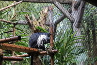 IMG_8589.JPG