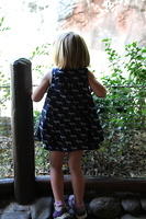 IMG_8652.JPG
