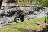 IMG_8668.JPG
