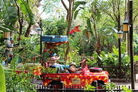 IMG_8826.JPG